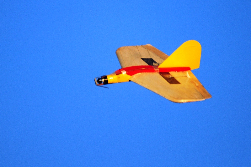 ����� ���� ��� �� ����� ��� ������ �� ������ �������