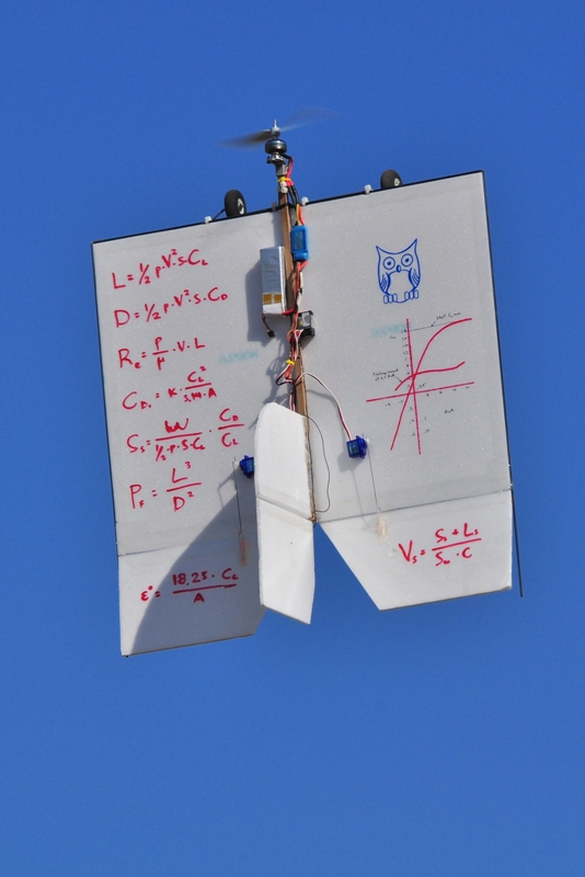 ����� ���� ��� �� ����� ��� ������ �� ������ �������