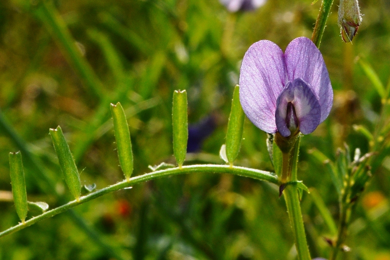 ����� ���� ��� �� ����� ��� ������ �� ������ �������