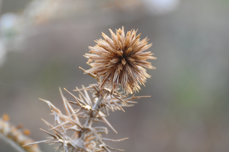 ����� ���� ��� �� ����� ��� ������ �� ������ �������