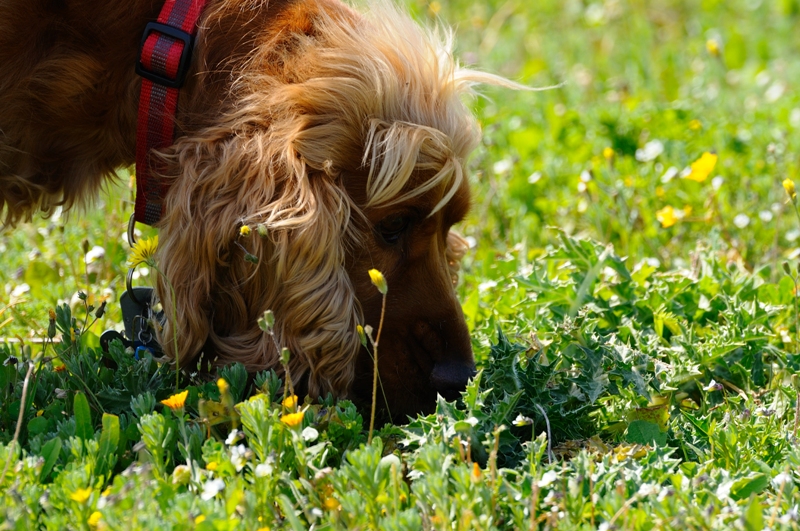 ����� ���� ��� �� ����� ��� ������ �� ������ �������