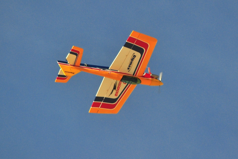 ����� ���� ��� �� ����� ��� ������ �� ������ �������