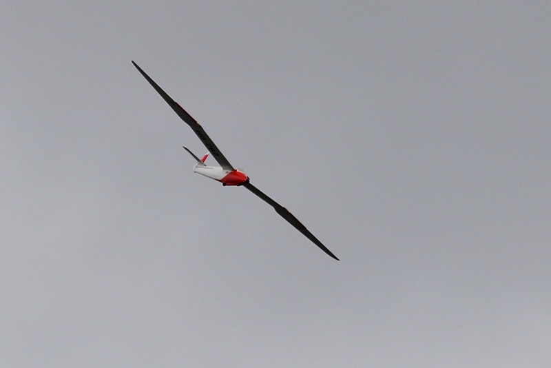 ����� ���� ��� �� ����� ��� ������ �� ������ �������