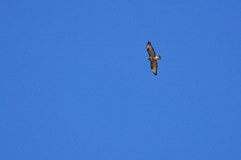 ����� ���� ��� �� ����� ��� ������ �� ������ �������