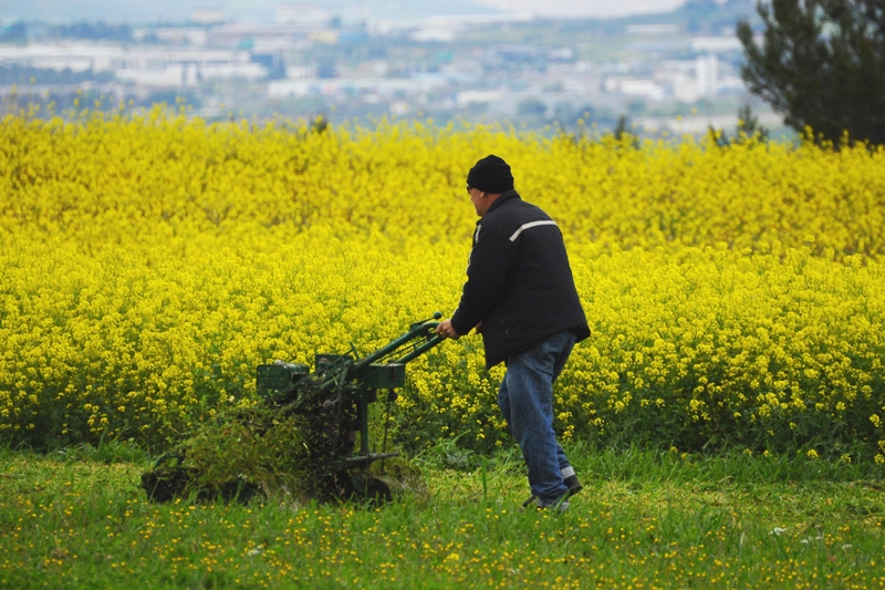 ����� ���� ��� �� ����� ��� ������ �� ������ �������