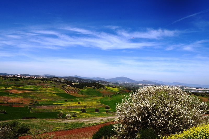 ����� ���� ��� �� ����� ��� ������ �� ������ �������