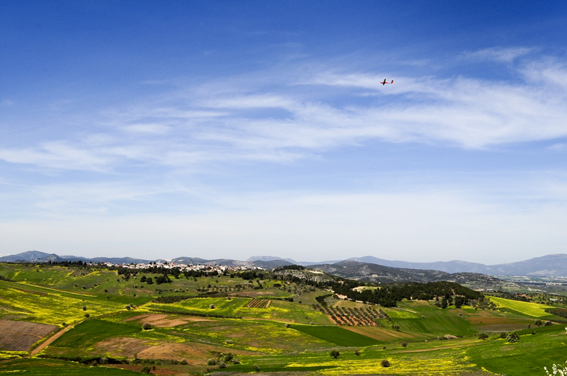 ����� ���� ��� �� ����� ��� ������ �� ������ �������