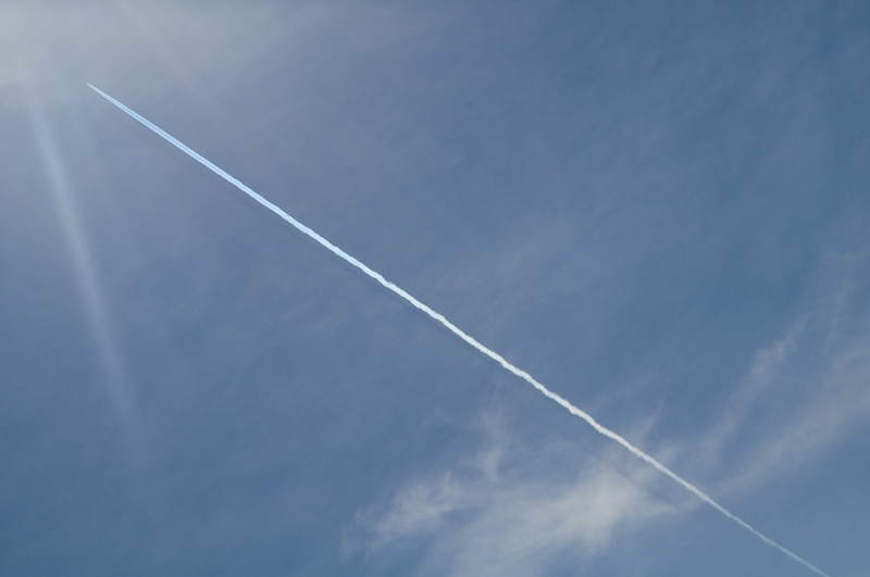 ����� ���� ��� �� ����� ��� ������ �� ������ �������