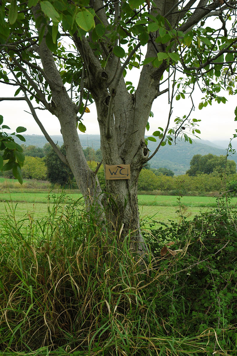 ����� ���� ��� �� ����� ��� ������ �� ������ �������