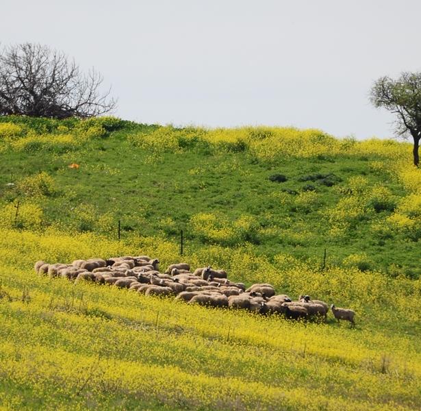 ����� ���� ��� �� ����� ��� ������ �� ������ �������