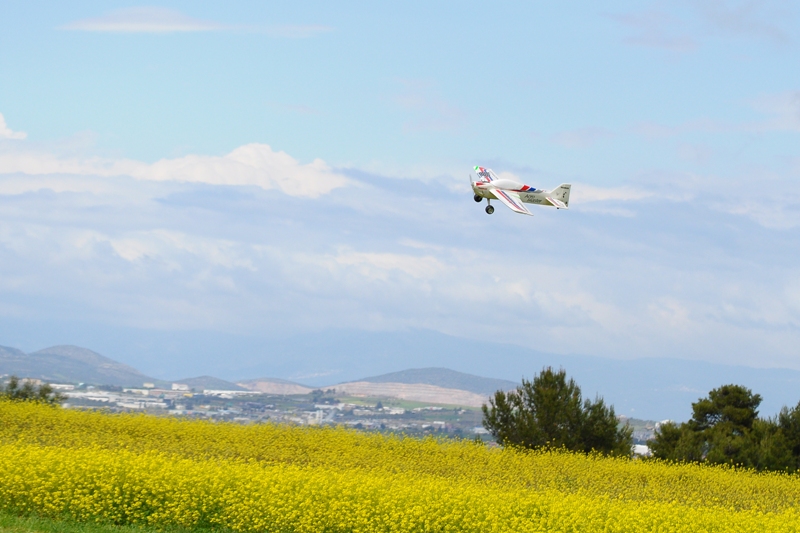 ����� ���� ��� �� ����� ��� ������ �� ������ �������