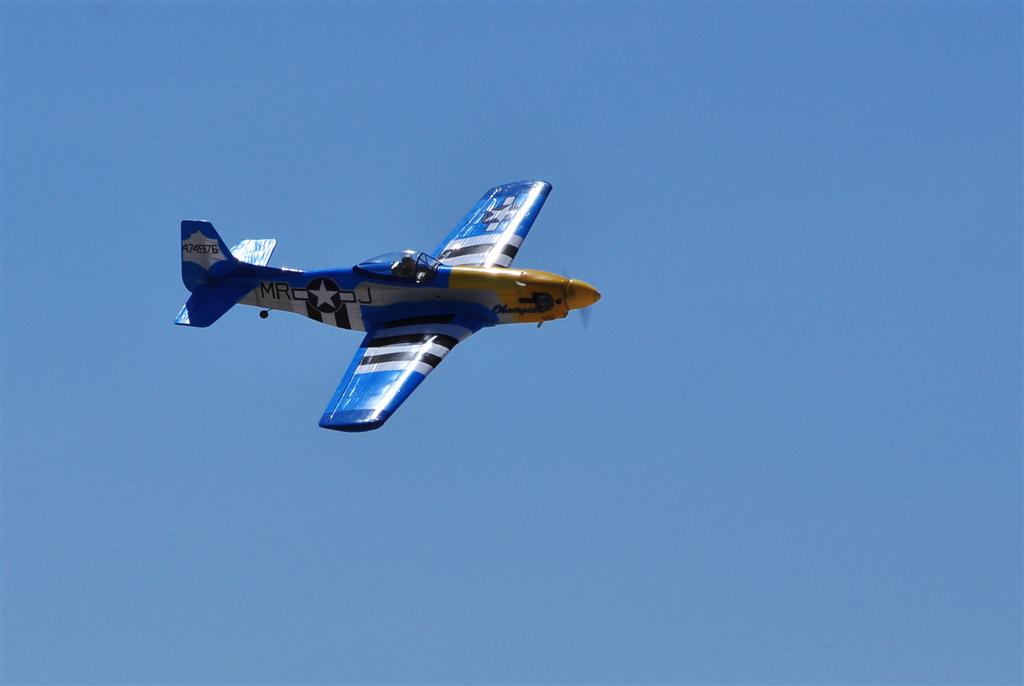 ����� ���� ��� �� ����� ��� ������ �� ������ �������