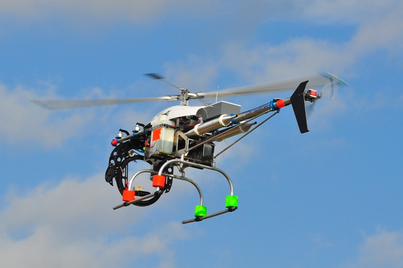 ����� ���� ��� �� ����� ��� ������ �� ������ �������