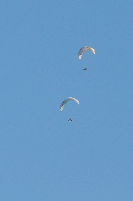 ����� ���� ��� �� ����� ��� ������ �� ������ �������