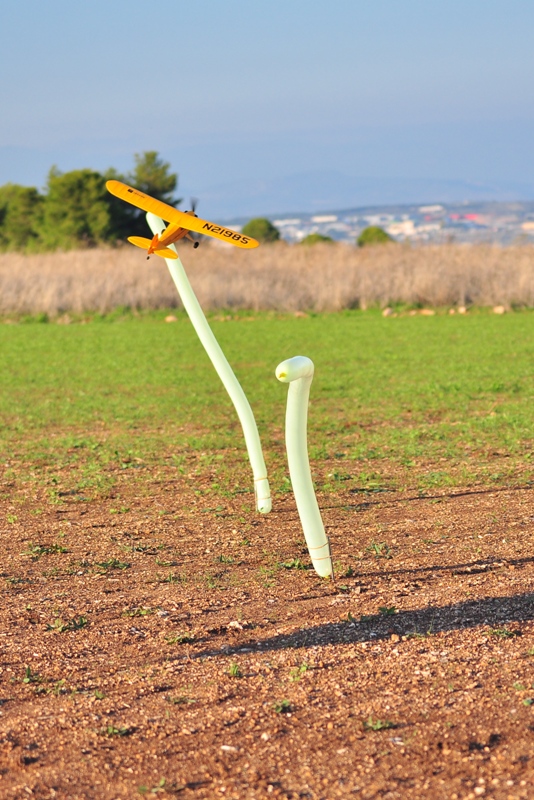 ����� ���� ��� �� ����� ��� ������ �� ������ �������