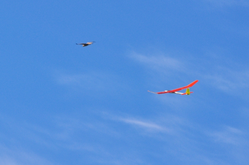 ����� ���� ��� �� ����� ��� ������ �� ������ �������