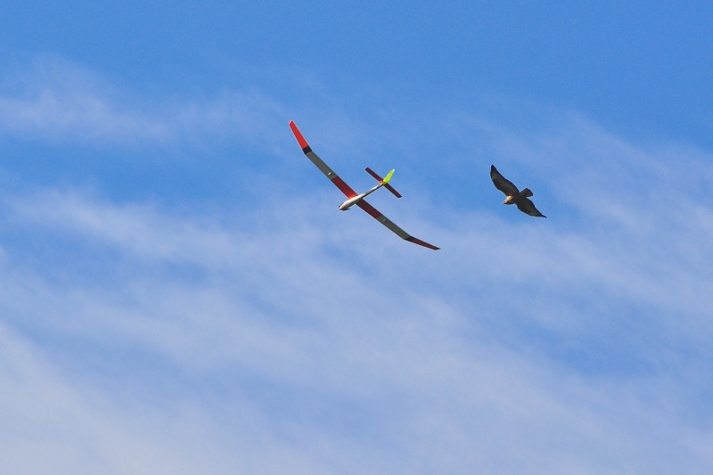 ����� ���� ��� �� ����� ��� ������ �� ������ �������