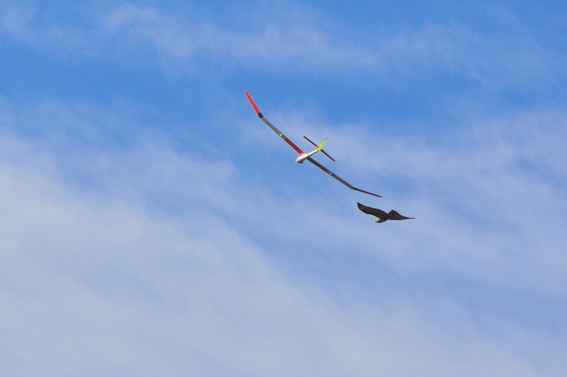 ����� ���� ��� �� ����� ��� ������ �� ������ �������