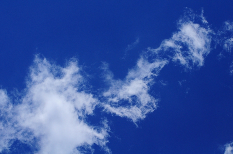 ����� ���� ��� �� ����� ��� ������ �� ������ �������