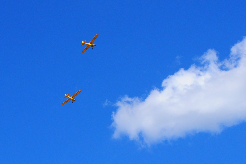 ����� ���� ��� �� ����� ��� ������ �� ������ �������