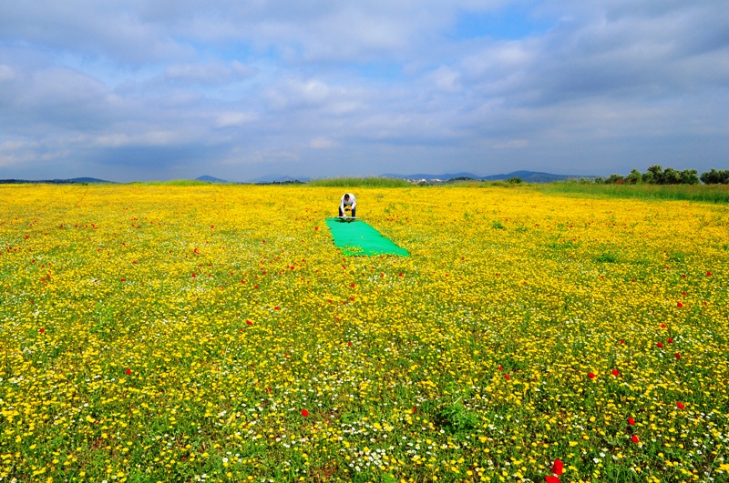 ����� ���� ��� �� ����� ��� ������ �� ������ �������