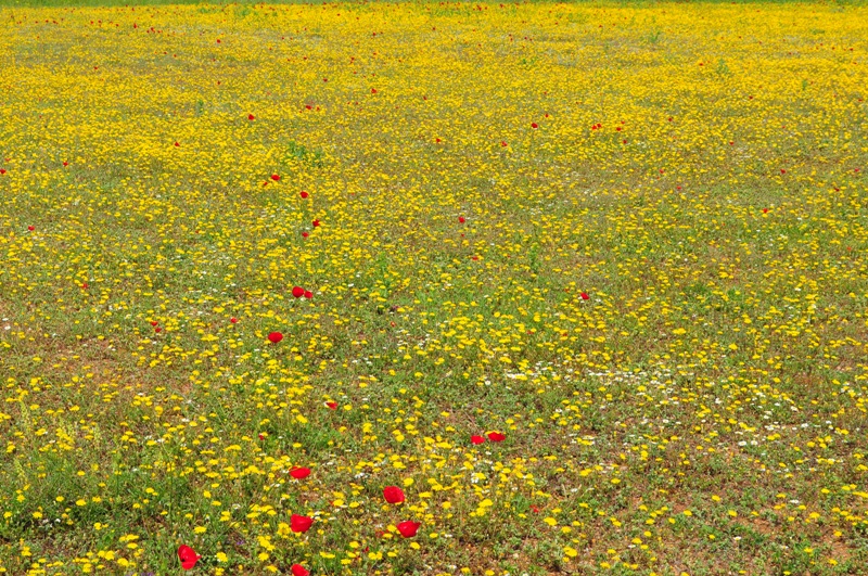 ����� ���� ��� �� ����� ��� ������ �� ������ �������