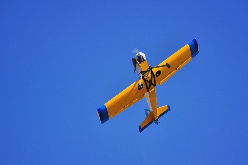 ����� ���� ��� �� ����� ��� ������ �� ������ �������