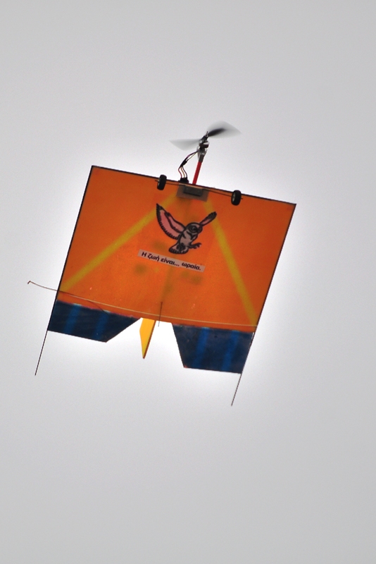 ����� ���� ��� �� ����� ��� ������ �� ������ �������