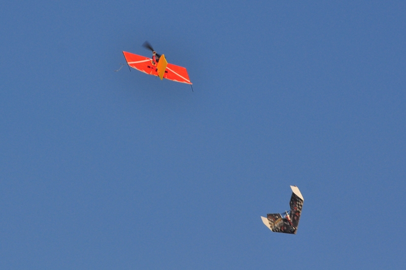 ����� ���� ��� �� ����� ��� ������ �� ������ �������