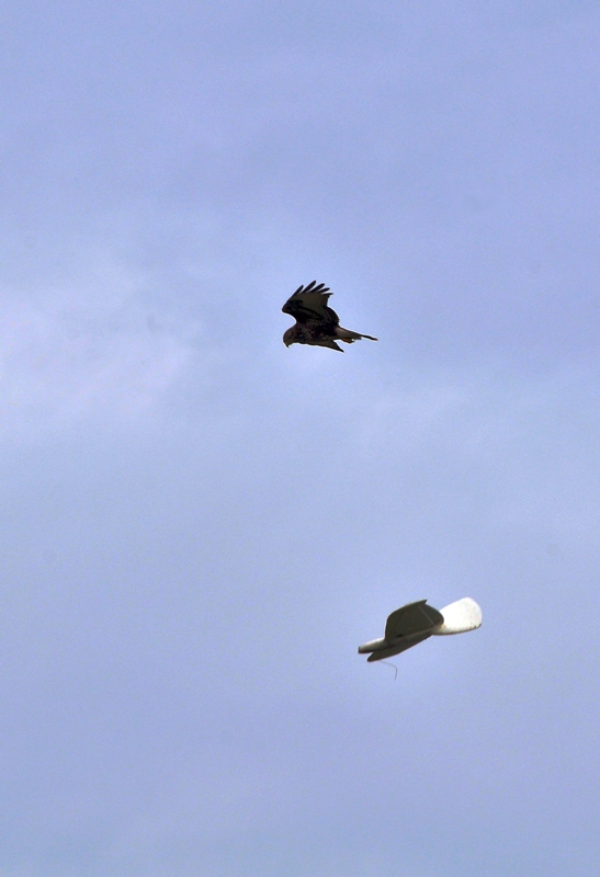 ����� ���� ��� �� ����� ��� ������ �� ������ �������