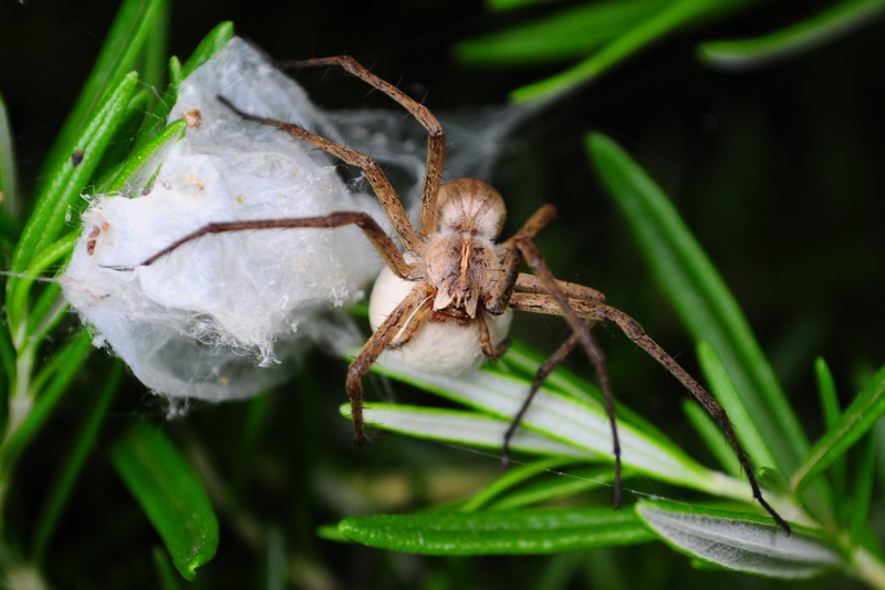 ����� ���� ��� �� ����� ��� ������ �� ������ �������