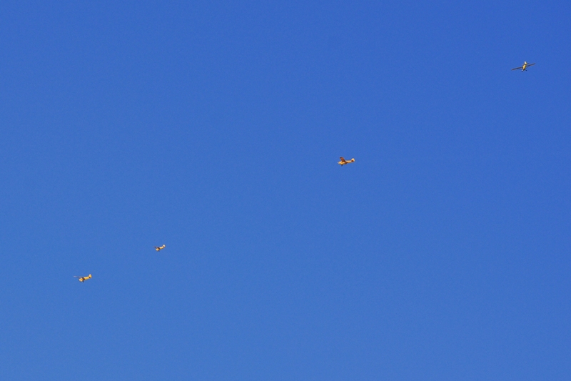 ����� ���� ��� �� ����� ��� ������ �� ������ �������