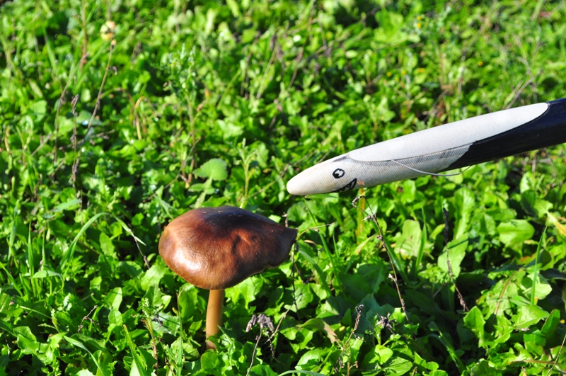 ����� ���� ��� �� ����� ��� ������ �� ������ �������