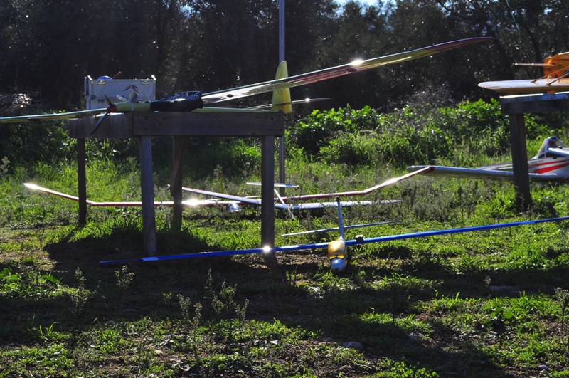 ����� ���� ��� �� ����� ��� ������ �� ������ �������