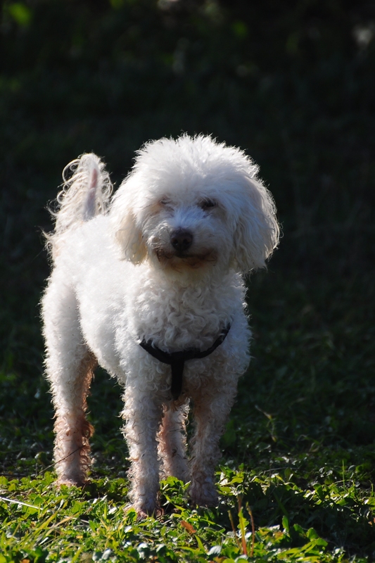 ����� ���� ��� �� ����� ��� ������ �� ������ �������