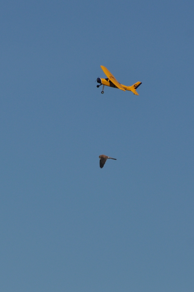 ����� ���� ��� �� ����� ��� ������ �� ������ �������