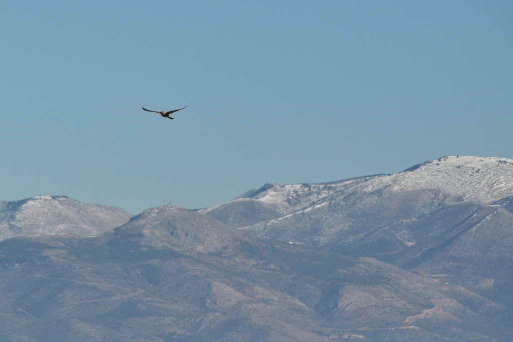 ����� ���� ��� �� ����� ��� ������ �� ������ �������