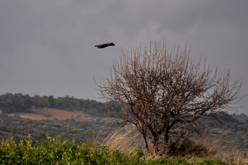 ����� ���� ��� �� ����� ��� ������ �� ������ �������