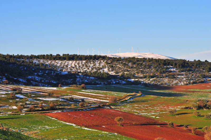 ����� ���� ��� �� ����� ��� ������ �� ������ �������