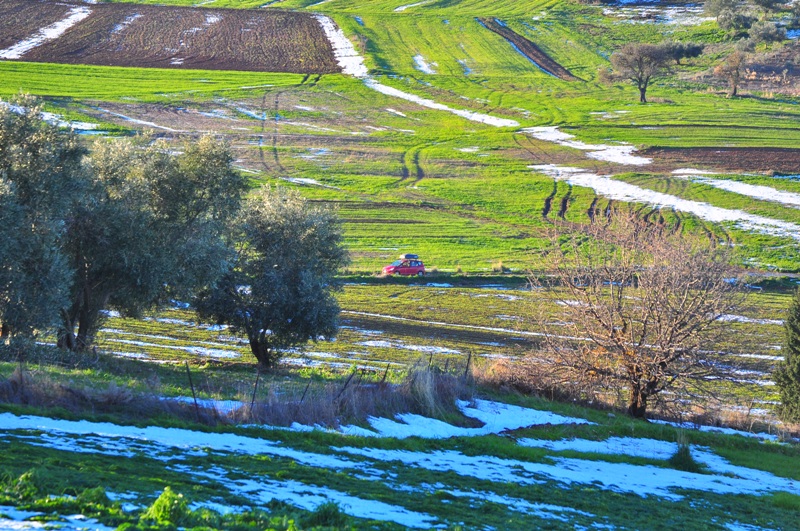 ����� ���� ��� �� ����� ��� ������ �� ������ �������