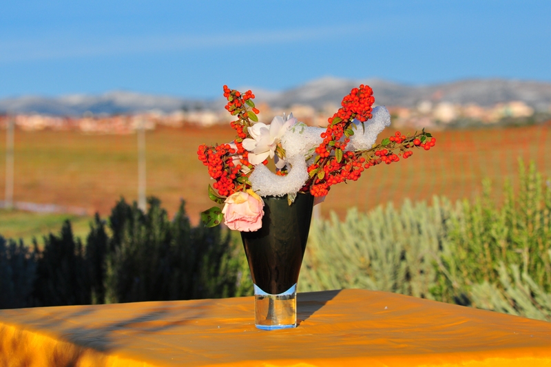 ����� ���� ��� �� ����� ��� ������ �� ������ �������