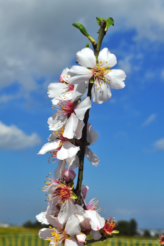 ����� ���� ��� �� ����� ��� ������ �� ������ �������