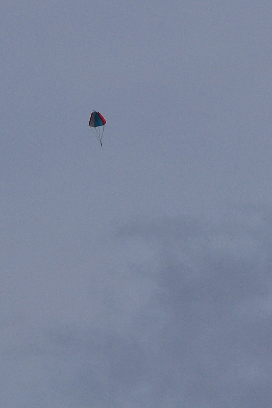 ����� ���� ��� �� ����� ��� ������ �� ������ �������