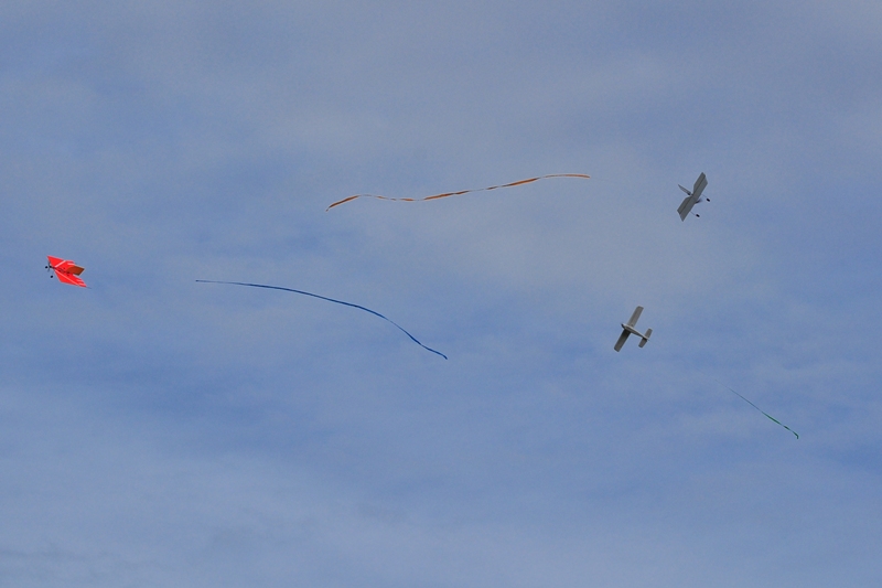 ����� ���� ��� �� ����� ��� ������ �� ������ �������