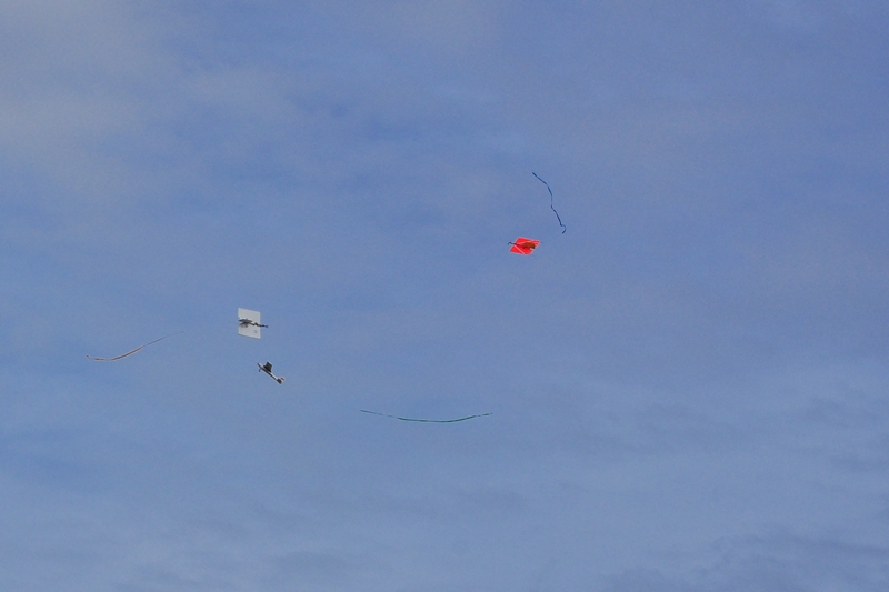 ����� ���� ��� �� ����� ��� ������ �� ������ �������