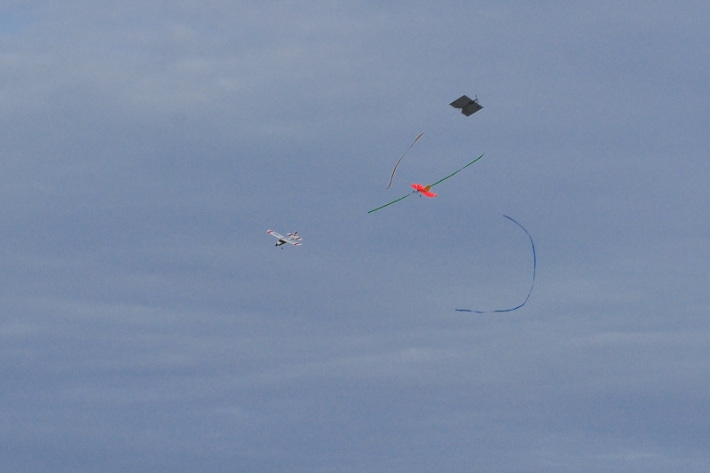 ����� ���� ��� �� ����� ��� ������ �� ������ �������