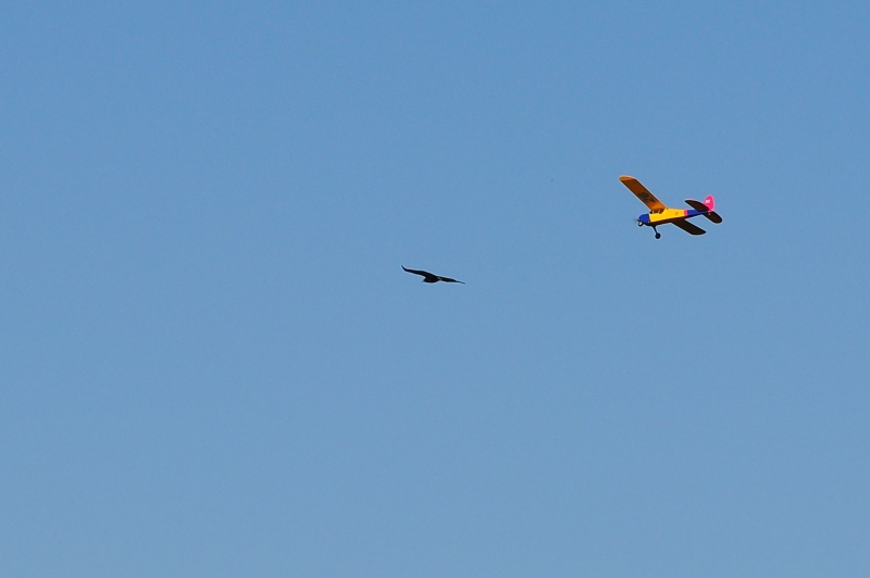 ����� ���� ��� �� ����� ��� ������ �� ������ �������