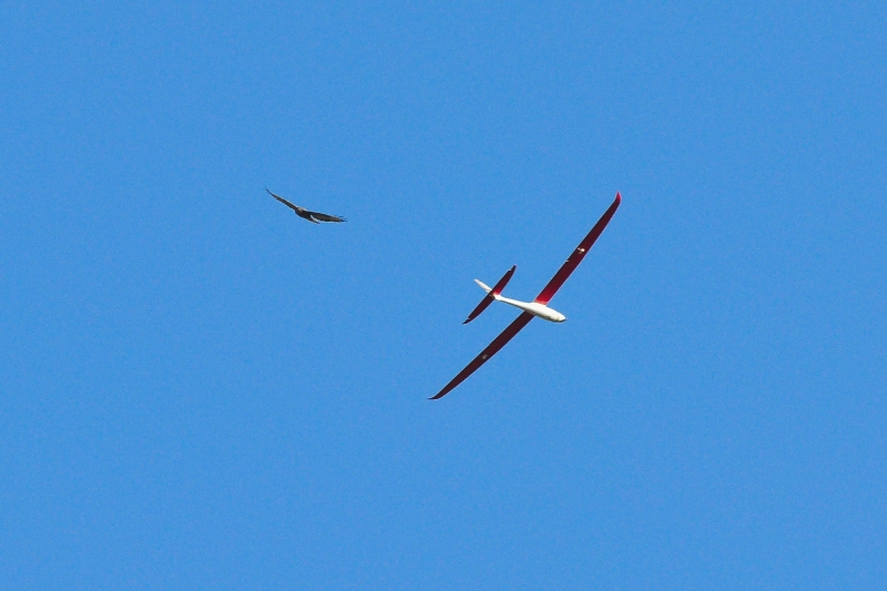 ����� ���� ��� �� ����� ��� ������ �� ������ �������