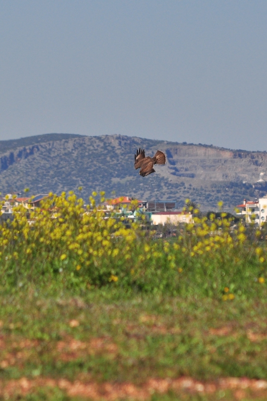 ����� ���� ��� �� ����� ��� ������ �� ������ �������