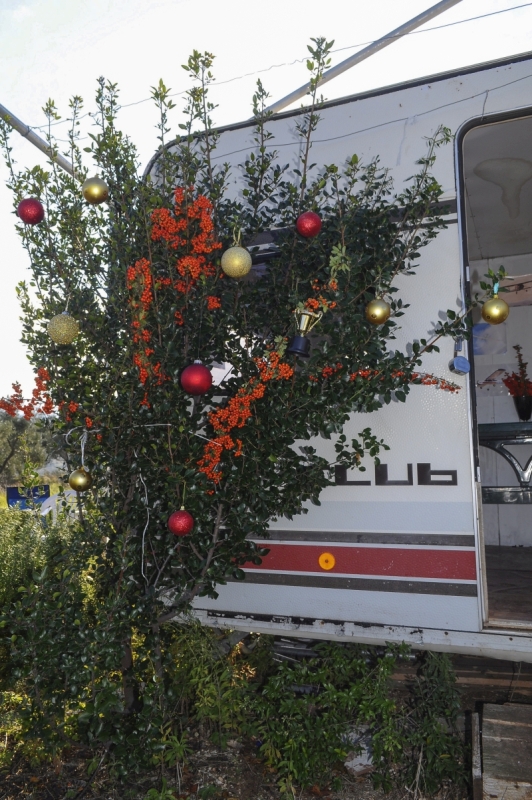 ����� ���� ��� �� ����� ��� ������ �� ������ �������